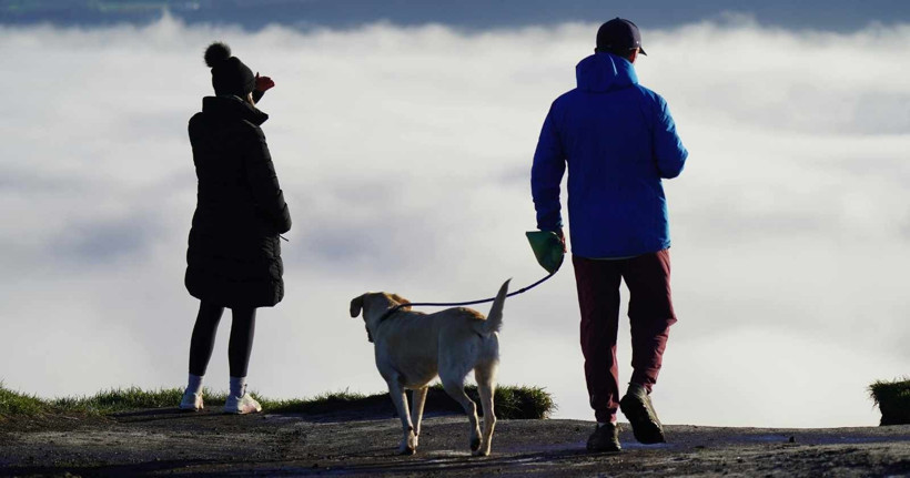 Zengin semtine kapak attı ayda 150 bin lira kazanıyor: İş çok basit… - Resim: 2