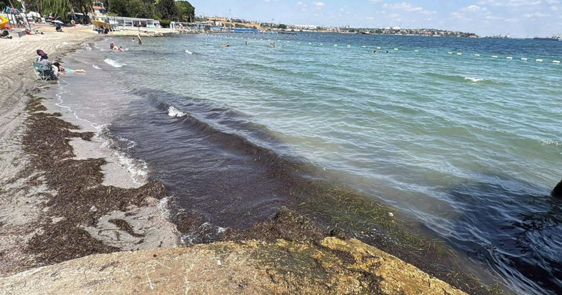 Marmara’da dengeler bozuldu: Kıyıları sarıyor: Temas halinde uzmandan önemli uyarı - Resim: 8