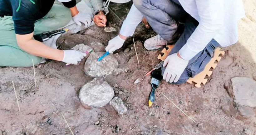 Yıllarca üzerinde pirinç yetiştirilmiş: Topraktan altın hazine fışkırdı - Resim: 10