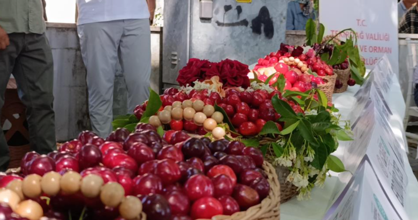 Yüz binlerce lira değerinde: Festivalde ücretsiz dağıtıldı - Resim: 7