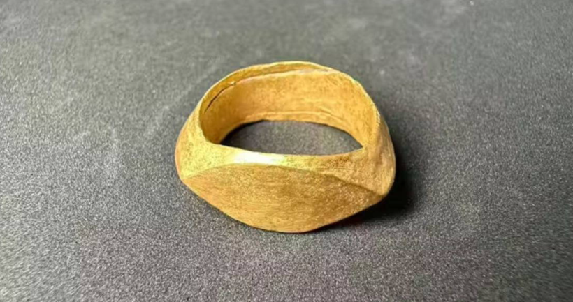 Yıllarca üzerinde pirinç yetiştirilmiş: Topraktan altın hazine fışkırdı - Resim: 4