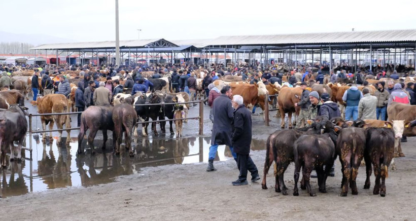 Kurban piyasasında fiyatlar belli oldu: Besicilerden kritik uyarı - Resim: 1