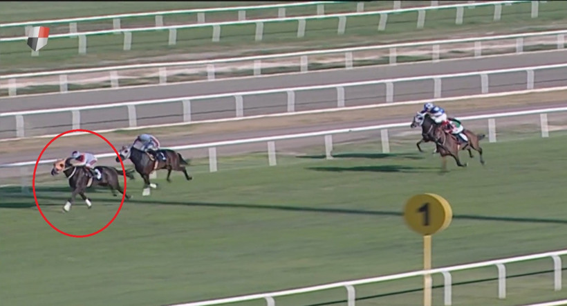 Vicdansızlığın faturası sahibine &ccedil;ıktı: Şampiyon atın sahibine 'iyilik' cezası - Resim : 1