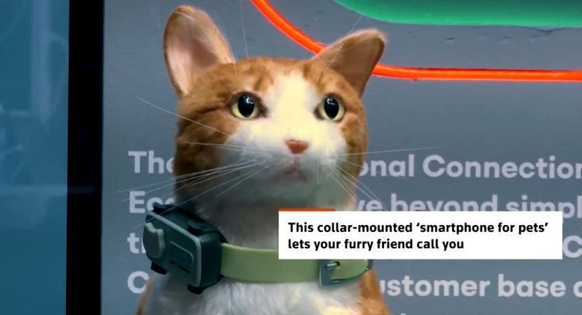 Evcil hayvanlar için tasarlanan ilk akıllı telefon tanıtıldı... Bu özelliğine inanamayacaksınız - Resim: 10