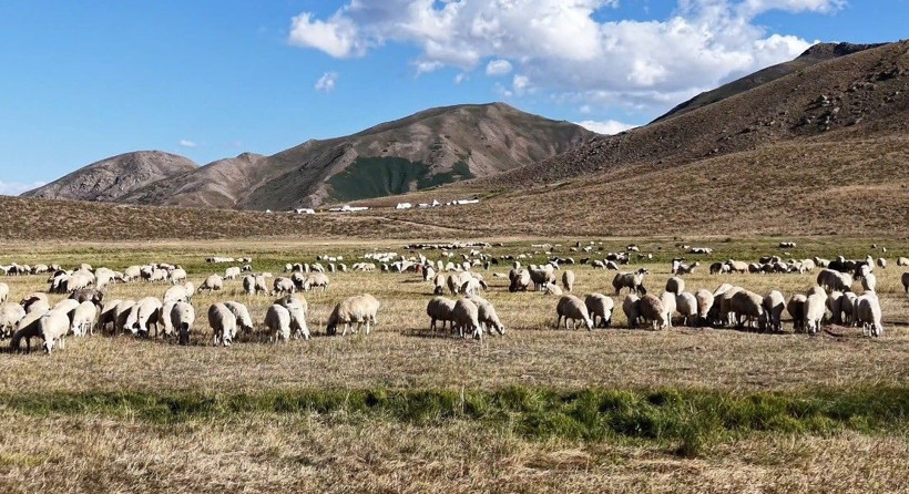 Yeri, yemeği dahil ayda 150 bin lira maaş veriyorlar ama çalışan yok - Resim: 8