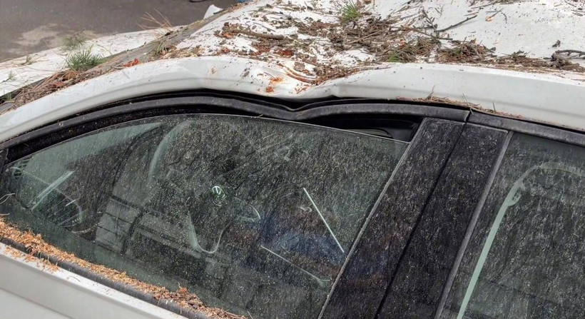 Ağaç kesimi pahalıya patladı: 2 otomobil hurdaya döndü - Resim: 8