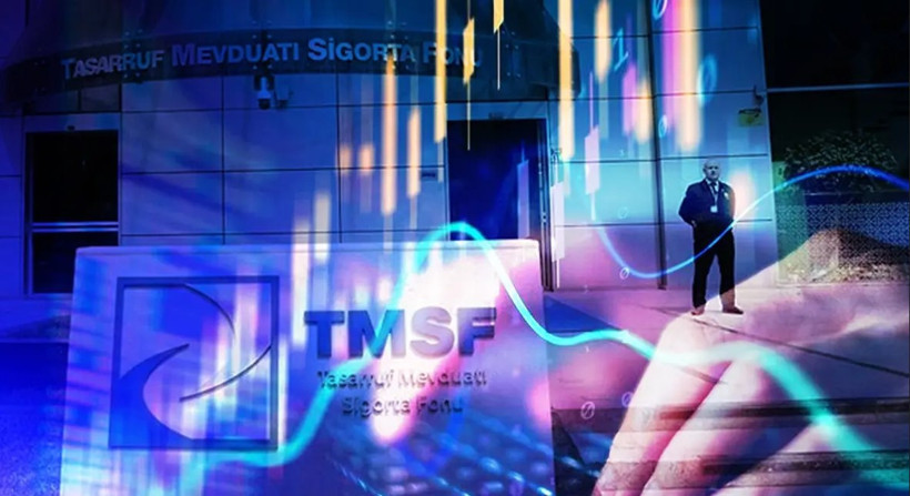 Türkiye Bankalar Birliği Başkanı açıkladı: Fonlardan çıkan para nereye gitti? - Resim : 1