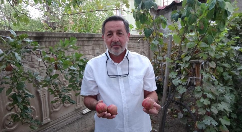 200 yıllık geçmişiyle tek bir ilçeye özgüydü: İlk yıldan ürün verdi - Resim: 4