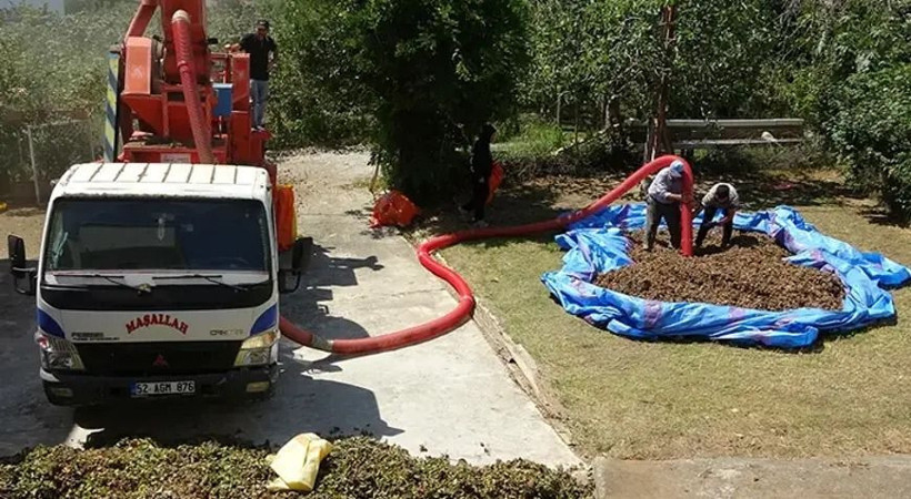 Saatte 6 bin TL kazanıyorlar: Yaklaşık 1.5 ay çalışıyorlar - Resim: 8