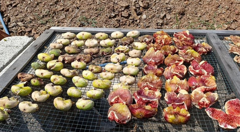 Rekolte düştü ama talep patladı: Kilogramı 300 TL'den kapış kapış satılıyor - Resim: 6
