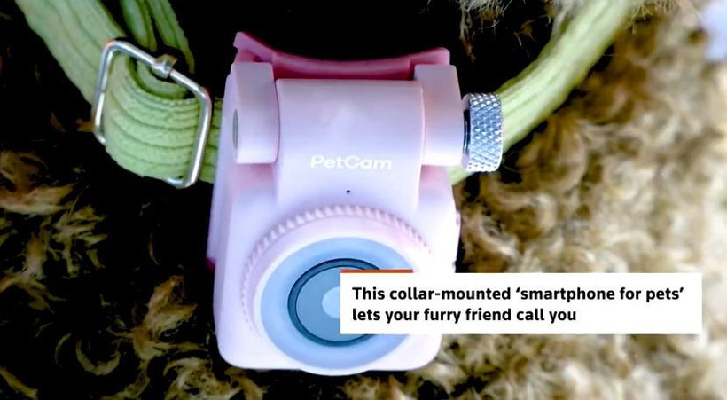 Evcil hayvanlar için tasarlanan ilk akıllı telefon tanıtıldı... Bu özelliğine inanamayacaksınız - Resim: 8
