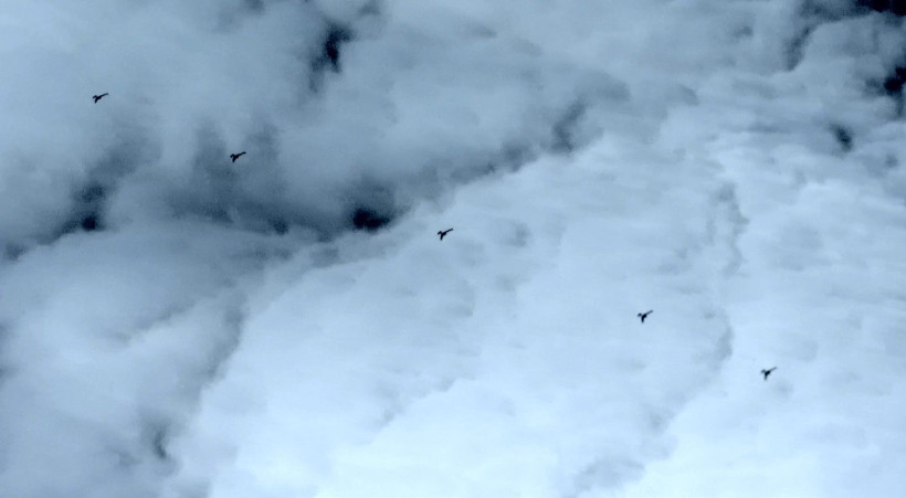 Gökyüzünün yeni pençesi: 200 kiloluk ölümcül darbe - Resim: 2