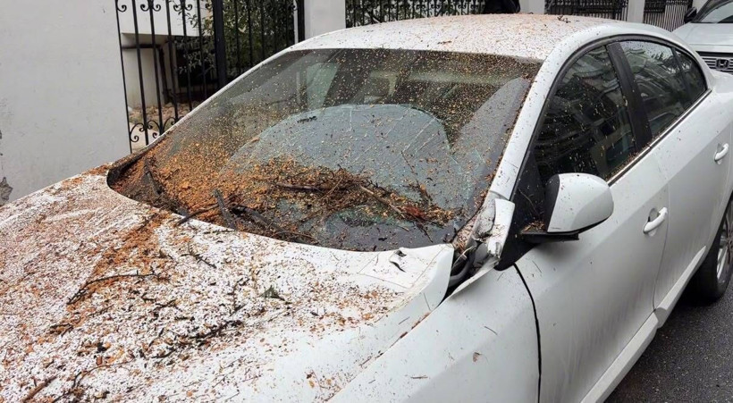 Ağaç kesimi pahalıya patladı: 2 otomobil hurdaya döndü - Resim: 9