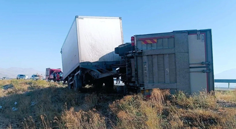 Bir anlık reflex felaket getirdi: Oto yola çıkan eşek trafiği alt üst etti - Resim : 3