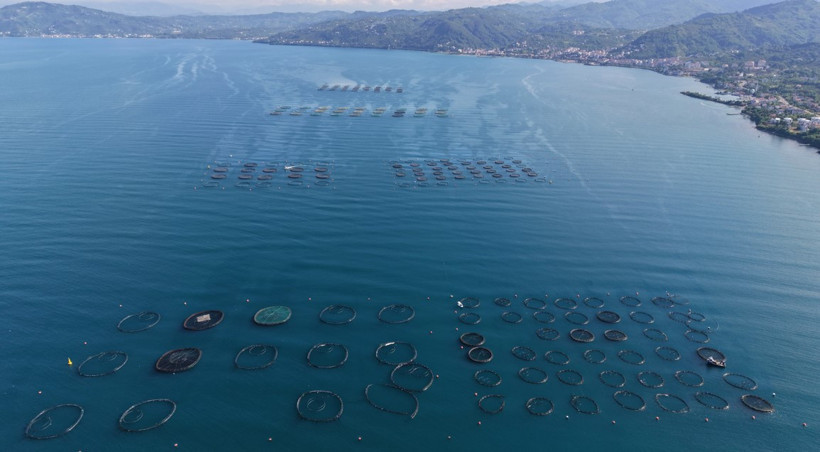 Ordu’dan 28 milyon euro’luk dev gelir - Resim : 3