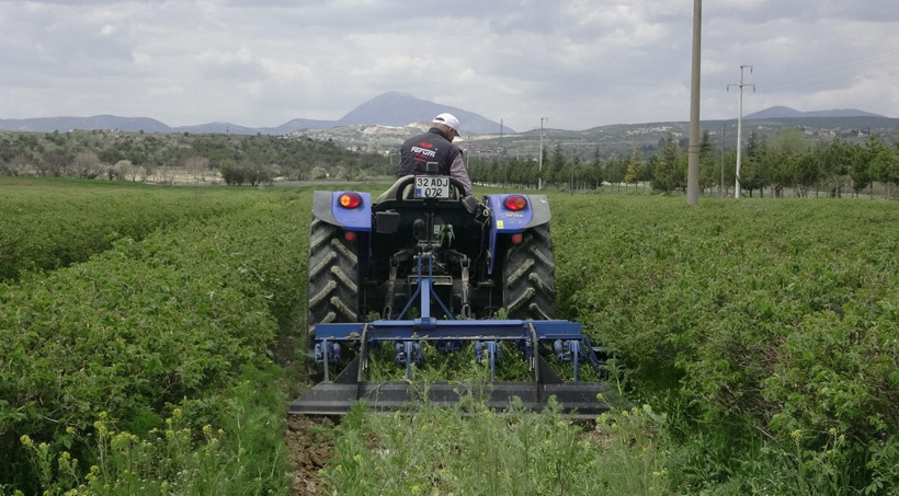 Isparta’da gül hasadı öncesi umutlar yükseldi: Rekolte 13 bin ton bekleniyor - Resim : 3