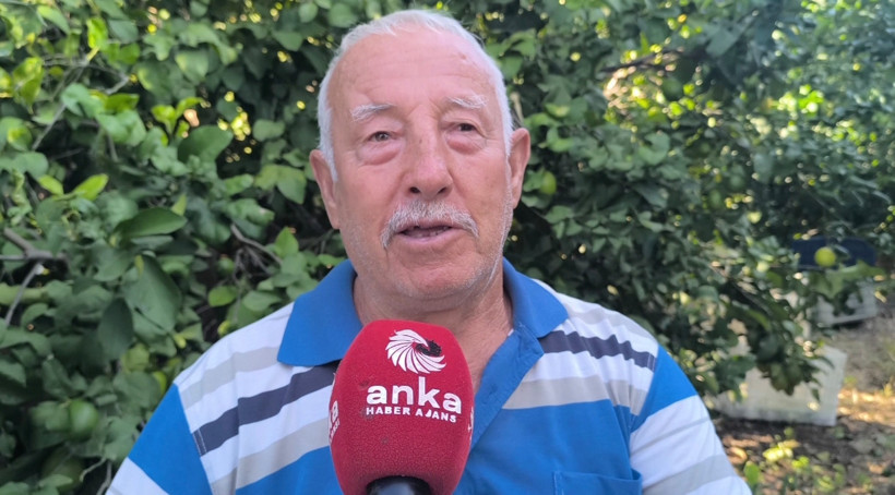 Adana'da limon üreticileri geçen yıl 30 liraya sattıkları limonu bu yıl 7,5 liraya bile satamıyorlar - Resim : 1