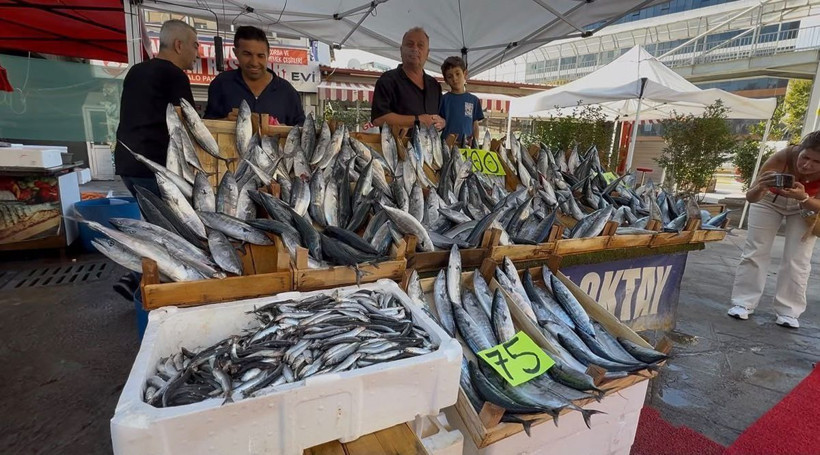 75 TL'den peynir ekmek gibi satıyor: Et ve tavuktan daha ucuz - Resim: 1