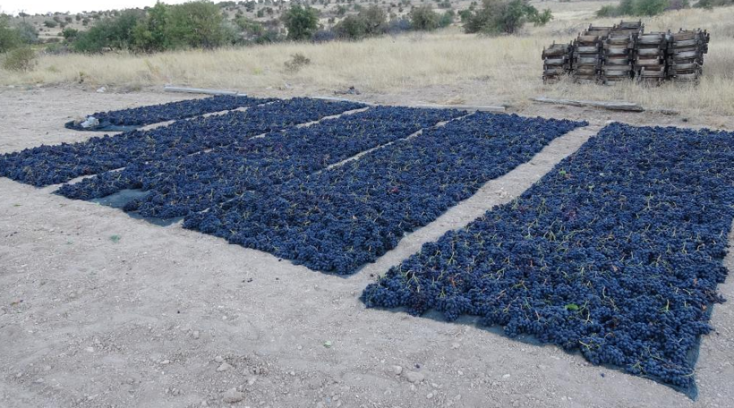Bin rakımda yetişiyor, talep yağıyor: Kilosu 600 lira - Resim: 7