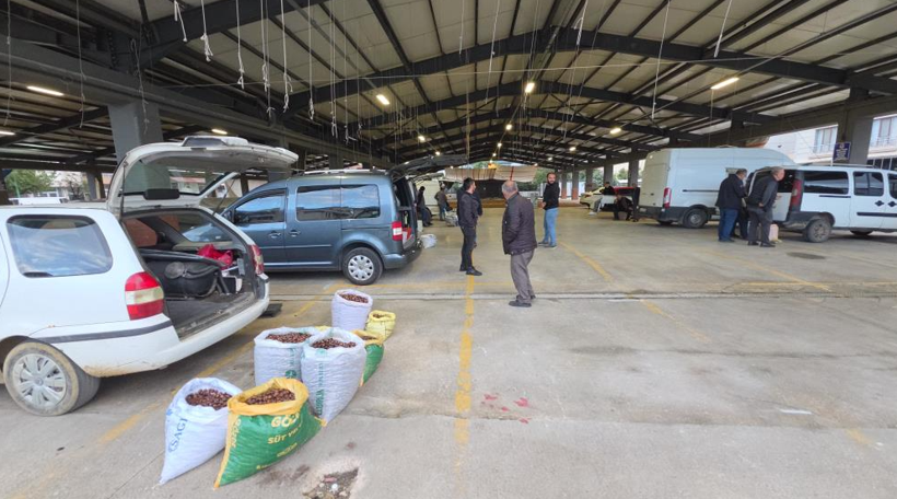 Tescilli üründe bu sene bereket var: Kilosu 300 lira - Resim: 2
