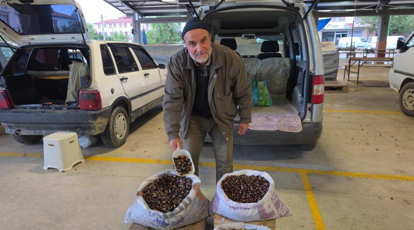 Tescilli üründe bu sene bereket var: Kilosu 300 lira - Resim: 5
