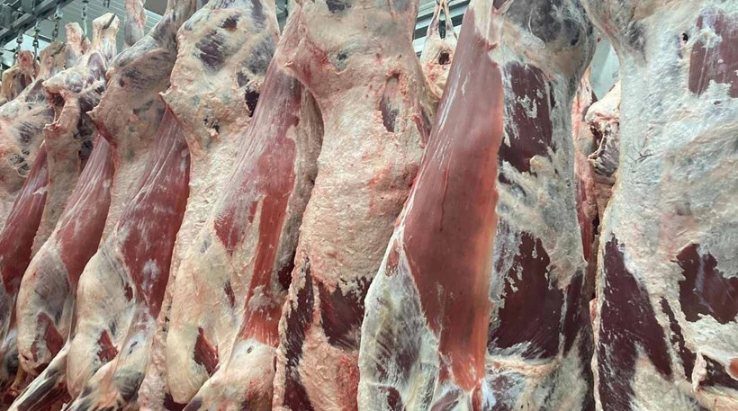 Kurban bayramı öncesi et fiyatlarında 100 günlük çıkmaz - Resim : 1