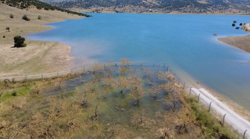 Kaç senelik emek çöp oldu: Evladı gibi baktığı onlarca ağaçtan geriye bu manzara kaldı - Resim: 1