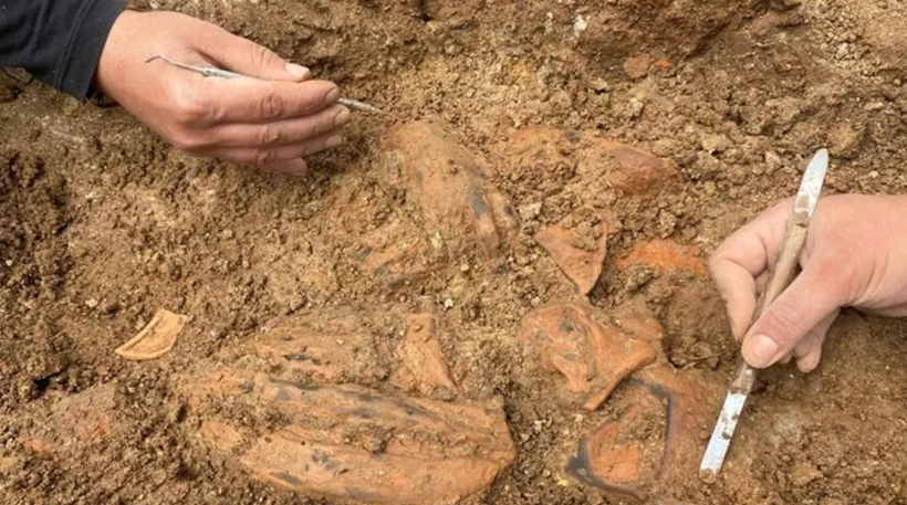 Yıllarca üzerinde pirinç yetiştirilmiş: Topraktan altın hazine fışkırdı - Resim: 2