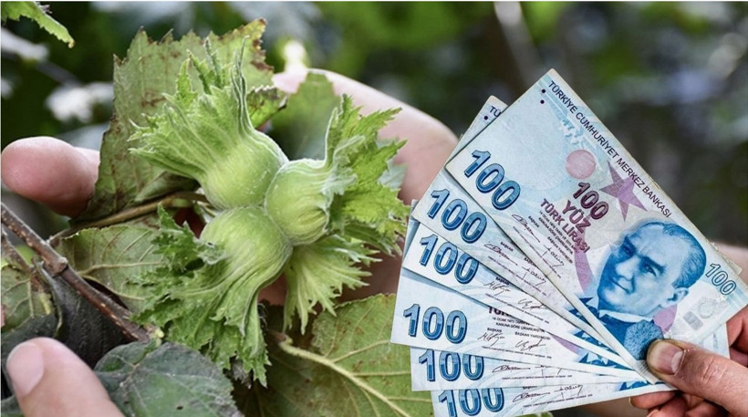 İYİ Parti’den çiftçiye: 'Kotayı kaldırıp fındığı 310 TL’den peşin alacağız' - Resim : 2