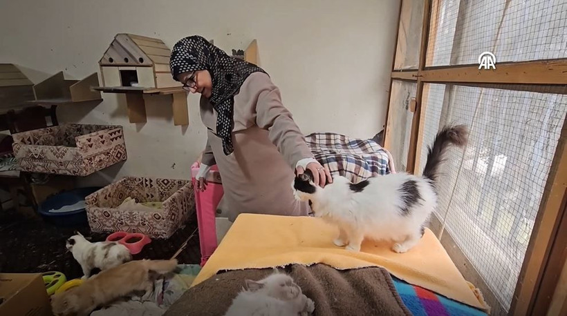 Beyrut’un ‘Kedi Kadını’: 70 kediye yuva açtı: Savaş ve krizde bile terk etmedi… - Resim: 10
