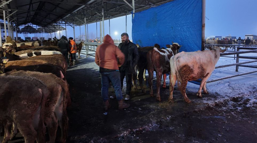 Dondurucu soğuk ticareti vurdu: Şarkışla’da ateş başında bekleyiş - Resim : 6