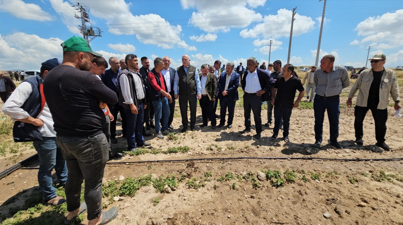 TZOB Başkanı: ''Çiftçi borç batağında, nakit yardımı ve yapılandırma şart