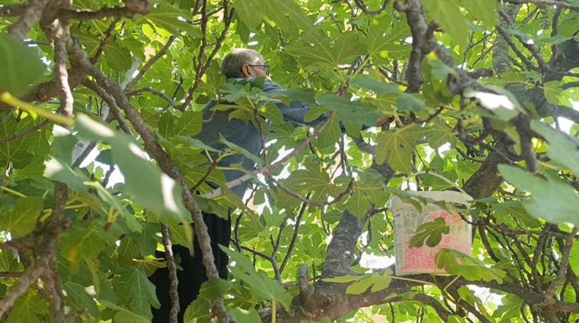Rekolte düştü ama talep patladı: Kilogramı 300 TL'den kapış kapış satılıyor - Resim: 1