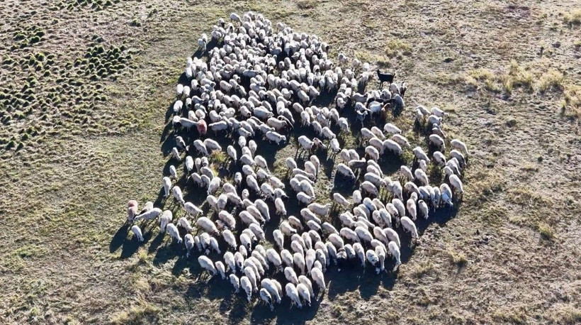 Yeri, yemeği dahil ayda 150 bin lira maaş veriyorlar ama çalışan yok - Resim: 3