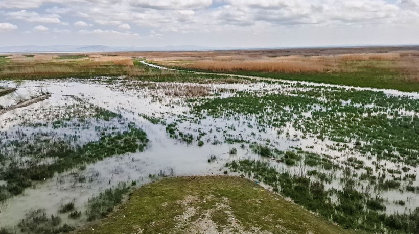 Hoca’nın mayası bu kez gerçekten tuttu: Çölleşen göl yeniden maviye büründü - Resim: 6