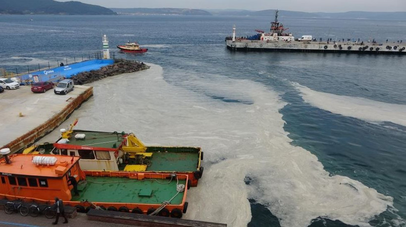 “Marmara ölü değil ama ağır hasta”: Müsilajın esas nedeni açıklandı - Resim: 1
