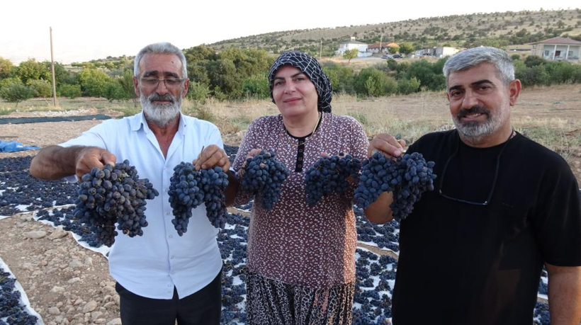 Bin rakımda yetişiyor, talep yağıyor: Kilosu 600 lira - Resim: 6