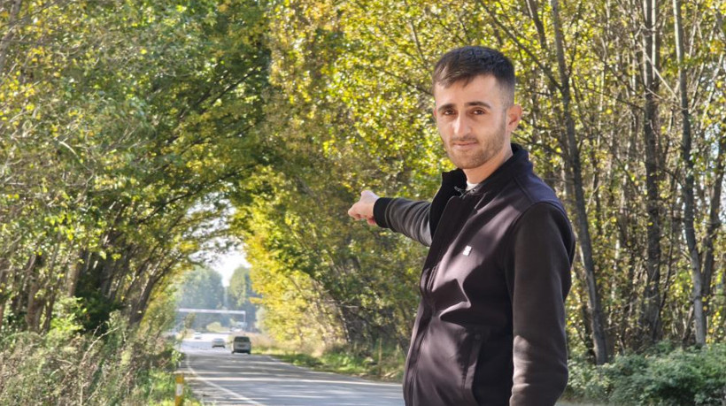Tokat Pazar-Zile yolunda sonbahar manzarası: Kavaklar doğal tünel oluşturdu - Resim : 1