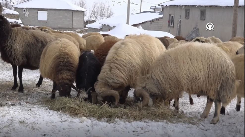 Bitlis’in gizli cenneti kar altında Süphan Dağı ve Aygır Gölü’nün dronla çekilen muhteşem hali... - Resim: 13