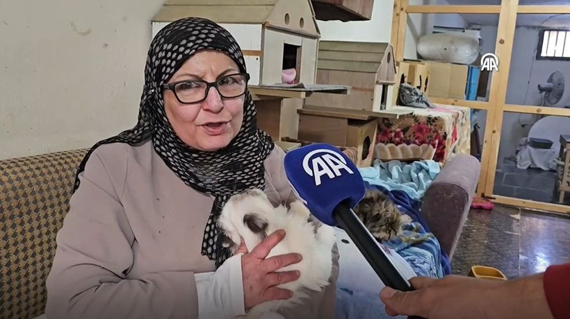 Beyrut’un ‘Kedi Kadını’: 70 kediye yuva açtı: Savaş ve krizde bile terk etmedi… - Resim: 17