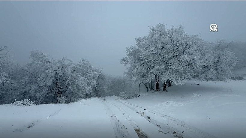 Ganos Dağı beyaza büründü: Ormanlar masal diyarına dönüştü - Resim: 5