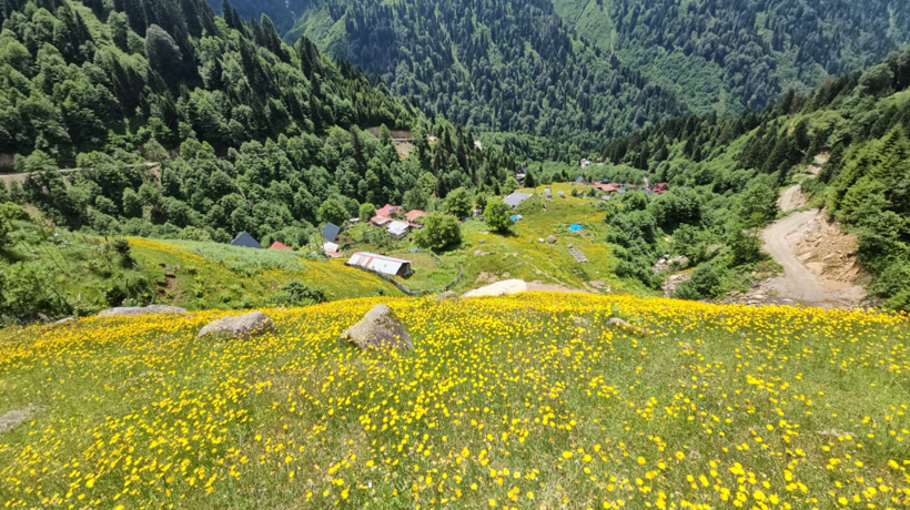 Kaçkar Dağları Milli Parkı ve Ayder Yaylası ziyaretçi akınına uğruyor - Resim : 3