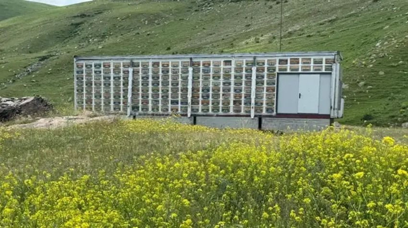 Dünyada nadir, Türkiye'de ilk: Yerli sistem arıcılıkta yeni dönemi başlattı - Resim: 8