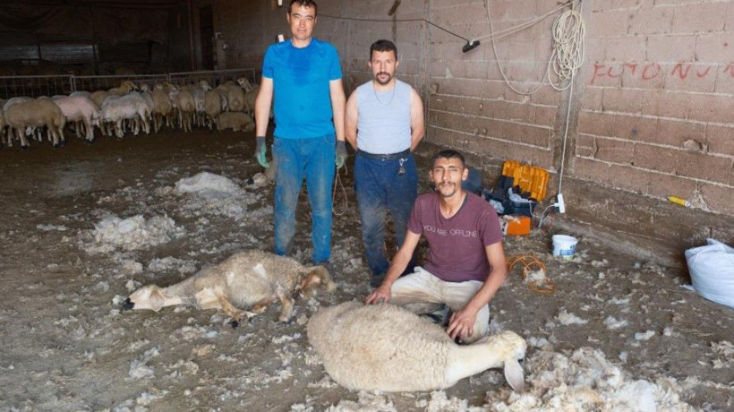Ayda 250 bin TL kazanıyorlar: Bu mesleği yapanları bulmak zorlaştı - Resim: 10