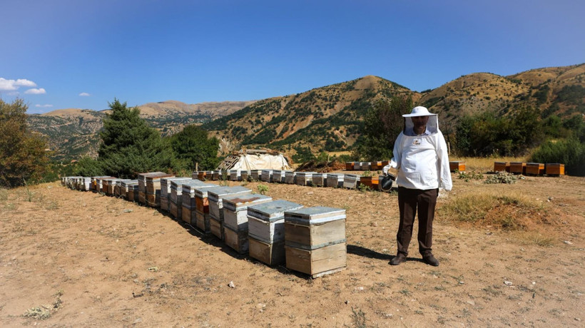 Dededen kalma yöntemle üretiyor: Kilosunu 3 bin liradan satıyor - Resim: 2