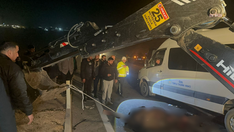 Milyonluk yarış tayları firar etti: 6'sı &ouml;ld&uuml; 2'si yaralandı - Resim : 1