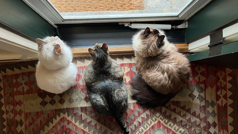 Dünyanın Enleri açıklandı: Bu listeyi görünce ‘Vay Be!’ demeden duramayacaksınız - Resim: 16