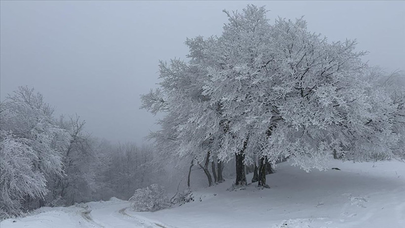 Ganos Dağı beyaza büründü: Ormanlar masal diyarına dönüştü - Resim: 1
