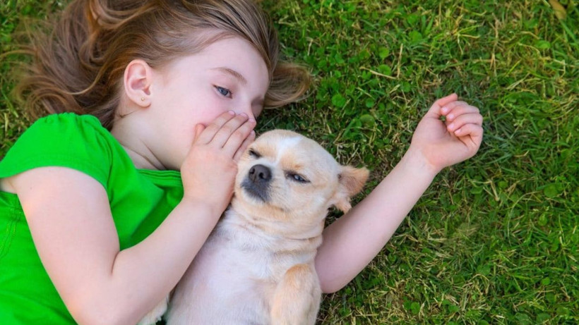 Hayvanlarla konuşmanın yolu açıldı: Yapay zekâ destekli proje: Earth Species Project - Resim: 1