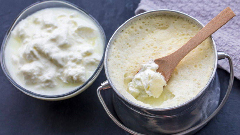 Taş gibi yoğurt mayalamanın gizli püf noktası: Yıllardır yanlış yapıyormuşuz - Resim: 9